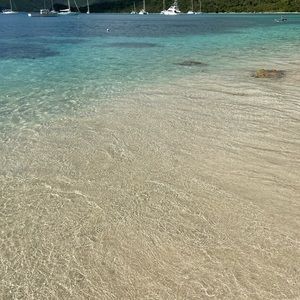 Meet your Posher, Tarah